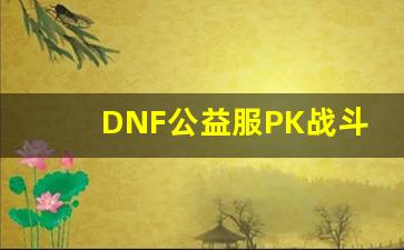 DNF公益服PK战斗经验分享与心得