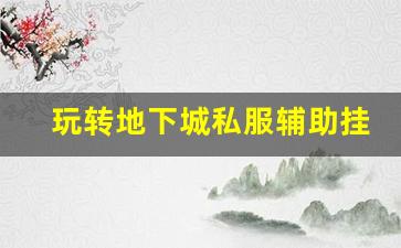 玩转地下城私服辅助挂机刷图的关键要点