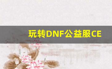 玩转DNF公益服CE，掌握高效副本打法