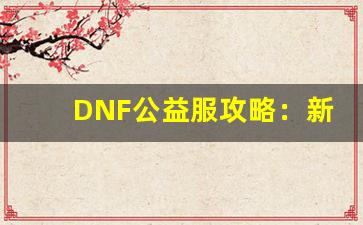 DNF公益服攻略：新手入门与高效升级技巧