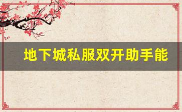 地下城私服双开助手能为玩家带来哪些优势