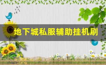 地下城私服辅助挂机刷图设置指南