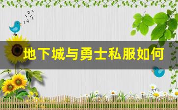 地下城与勇士私服如何提升玩家的游戏乐趣？