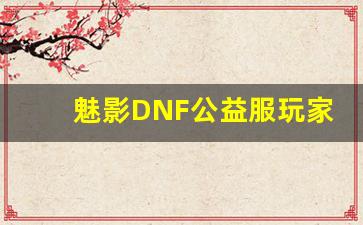 魅影DNF公益服玩家必看，提升游戏体验的五个技巧