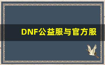 DNF公益服与官方服差异解析，哪个更适合你