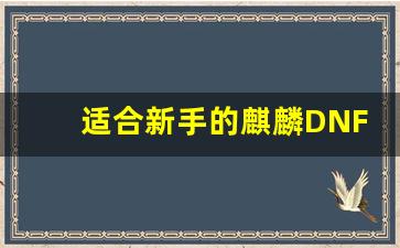适合新手的麒麟DNF公益服入门指南