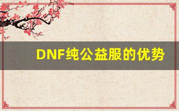 DNF纯公益服的优势与挑战，你准备好了吗