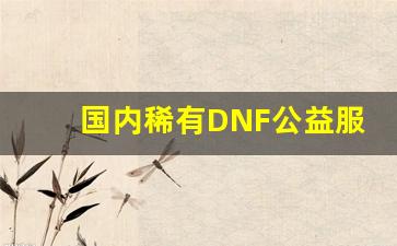 国内稀有DNF公益服发布网为玩家带来新机遇