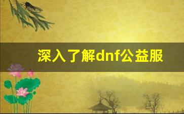 深入了解dnf公益服pop辅助的操作方法