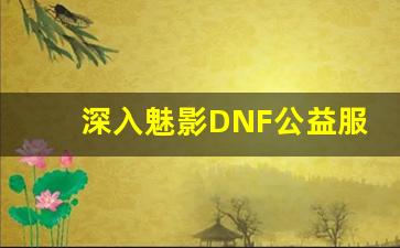 深入魅影DNF公益服，揭秘隐藏的游戏特色