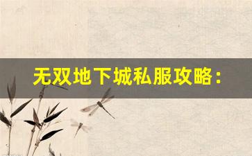 无双地下城私服攻略：如何选择最佳服务器体验游戏