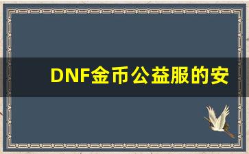 DNF金币公益服的安全性与风险防范