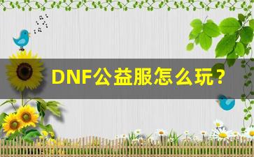 DNF公益服怎么玩？新手入门攻略