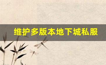 维护多版本地下城私服的常见问题及解决方案