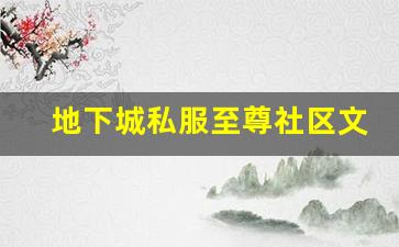 地下城私服至尊社区文化和玩家互动的独特魅力
