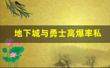 地下城与勇士高爆率私服的风险与回报