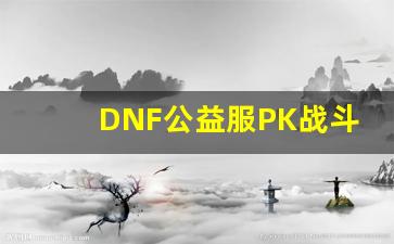 DNF公益服PK战斗策略解析