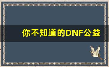 你不知道的DNF公益服科技功能