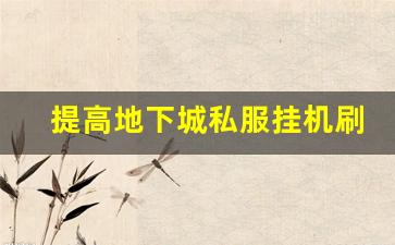 提高地下城私服挂机刷图速度的小窍门