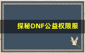 探秘DNF公益权限服：玩家体验与游戏乐趣兼顾