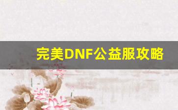 完美DNF公益服攻略大全：新手必备技巧