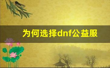 为何选择dnf公益服发布站？这些优势你不得不知