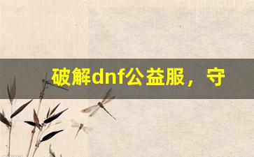 破解dnf公益服，守护游戏公平性还是漏洞？