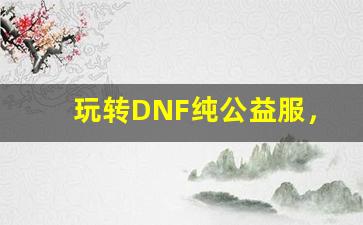 玩转DNF纯公益服，体验无充值的快感