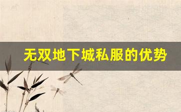 深入分析无双地下城私服的优势与挑战