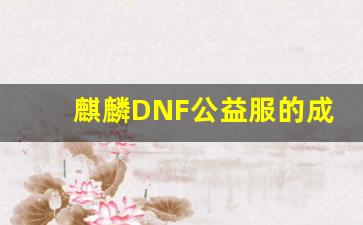 麒麟DNF公益服的成长路径，如何快速打造最强角色