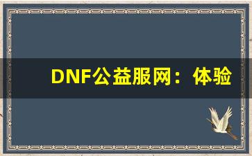 DNF公益服网：体验不一样的地下城冒险之旅