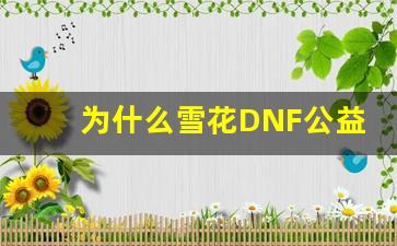 为什么雪花DNF公益服吸引了大量玩家参与