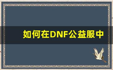 如何在DNF公益服中玩转完美二觉