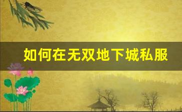 如何在无双地下城私服中获得更高的战力
