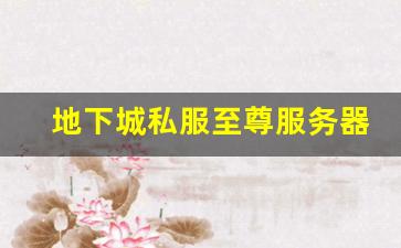 地下城私服至尊服务器稳定性全面评测