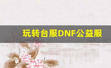 玩转台服DNF公益服：一个全新的冒险之旅