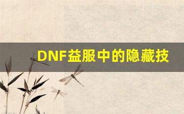 DNF益服中的隐藏技巧，玩转全新世界