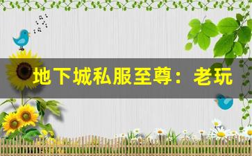 地下城私服至尊：老玩家回归的最佳选择