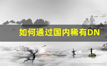 如何通过国内稀有DNF公益服发布网获得超值体验