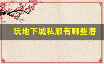 玩地下城私服有哪些潜在风险