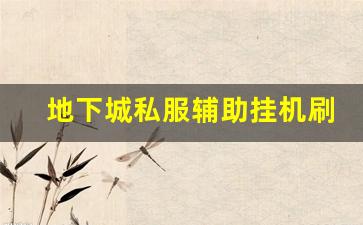 地下城私服辅助挂机刷图的最佳时机与方法