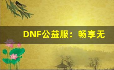 DNF公益服：畅享无限乐趣的全新体验