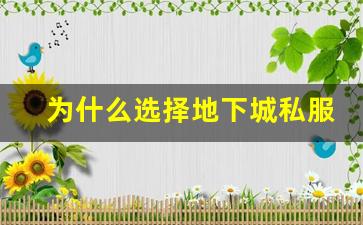 为什么选择地下城私服架设包进行服务器搭建