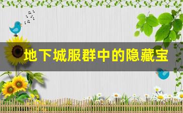 地下城服群中的隐藏宝藏，探索未知世界