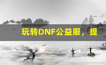 玩转DNF公益服，提升游戏体验的技巧