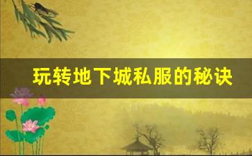 玩转地下城私服的秘诀，提升游戏体验的小技巧