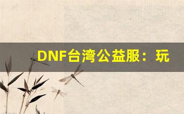 DNF台湾公益服：玩家社区与福利解析
