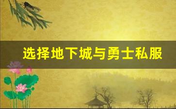 选择地下城与勇士私服时你需要关注的几个因素