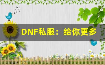 DNF私服：给你更多自由与挑战