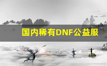 国内稀有DNF公益服发布网为何受到玩家热捧